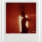 Patrick Sansone, 100 Polaroids, #97, 2008