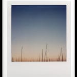 Patrick Sansone, 100 Polaroids, #97, 2008