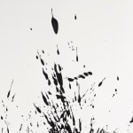Daniel Diaz-Tai, Subconscious NO115.16, 2016