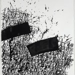 Daniel Diaz-Tai, Subconscious NO115.16, 2016