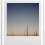 Patrick Sansone, 100 Polaroids, #97, 2008