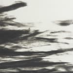 Bruna Stude, WATERLINE NO16, 2016
