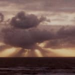 Patrick Sansone, 100 Polaroids, #97, 2008