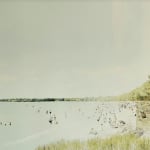 Christine Flynn, Dune, 2013