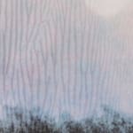 David Mohr, Iapetus (2), 2016