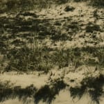 Christine Flynn, Dune, 2013