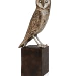 Rebecca Polyblank, Briar, 2017