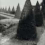 Pierre Amédée Marcel-Beronneau, Untitled, 1919