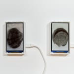 Rachel Maclean, MAMA IV, 2025