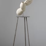 Jone Kvie, Sculpted Gas #7, 2009