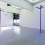 Gardar Eide Einarsson, Distinct Functional Layers Help Establish Hierarchy and Order, 2016