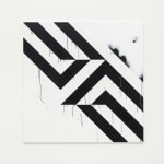 Gardar Eide Einarsson, Distinct Functional Layers Help Establish Hierarchy and Order, 2016