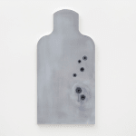 Gardar Eide Einarsson, Distinct Functional Layers Help Establish Hierarchy and Order, 2016