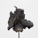Jone Kvie, Recall to mind of a long forgotten presence II, 2014