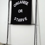 Gardar Eide Einarsson, Distinct Functional Layers Help Establish Hierarchy and Order, 2016