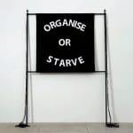 Gardar Eide Einarsson, Distinct Functional Layers Help Establish Hierarchy and Order, 2016