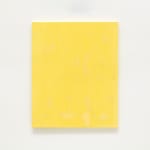 Mads Gamdrup, Noise, 2014