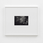 Tom Sandberg, Untitled