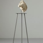 Jone Kvie, Sculpted Gas #7, 2009