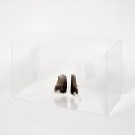 Charlotte Brüel, Haiku Object I think that:, 2012-2015