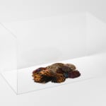 Haegue Yang, Knotty Spell in Chunky Forest, 2016