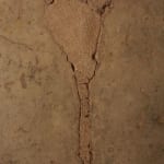 Runo Lagomarsino, Runo is not a Nation, 2011