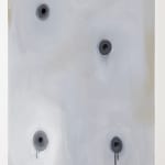 Gardar Eide Einarsson, I HAVE A DREAM OF LAW AND ORDER, 2018