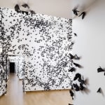 Carlos Amorales, Black Cloud Fashion, 2022