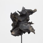 Jone Kvie, Recall to mind of a long forgotten presence II, 2014