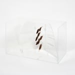 Charlotte Brüel, Invisible sculpture, 2019