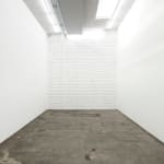 Runo Lagomarsino, AMERICAMNESIA, 2017