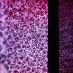 SUPERFLEX, Vertical Migration, 2021