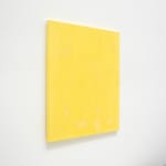 Mads Gamdrup, Noise, 2014