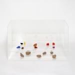 Charlotte Brüel, Haiku Object I think that:, 2012-2015