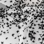 Carlos Amorales, Black Cloud Fashion, 2022