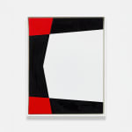 Gardar Eide Einarsson, Distinct Functional Layers Help Establish Hierarchy and Order, 2016