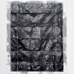 Gardar Eide Einarsson, Distinct Functional Layers Help Establish Hierarchy and Order, 2016