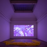 Lea Porsager, MIGHTY RUSHED EXPERIMENT, 2020