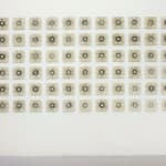Runo Lagomarsino, More delicate than the historians are the map maker's colours, 2012-2013