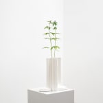 SUPERFLEX, Vertical Migration, 2021
