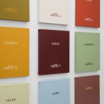 Birgir Andrésson, Africa, 2007