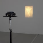 Runo Lagomarsino, Runo is not a Nation, 2011