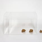 Charlotte Brüel, Invisible sculpture, 2019