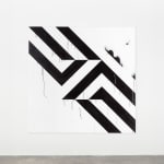 Gardar Eide Einarsson, Distinct Functional Layers Help Establish Hierarchy and Order, 2016
