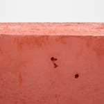 Tove Storch, Untitled, 2018