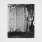 Torbjørn Rødland, Latter Day Towers, 2012