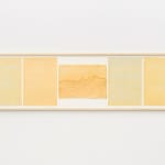 Runo Lagomarsino, One flew over the cuckoo's nest, 2019