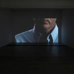 SUPERFLEX, Experience climate change as an animal / The Cockroach, 2009