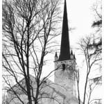 Torbjørn Rødland, Banana Black, 2005