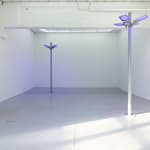 Gardar Eide Einarsson, Distinct Functional Layers Help Establish Hierarchy and Order, 2016